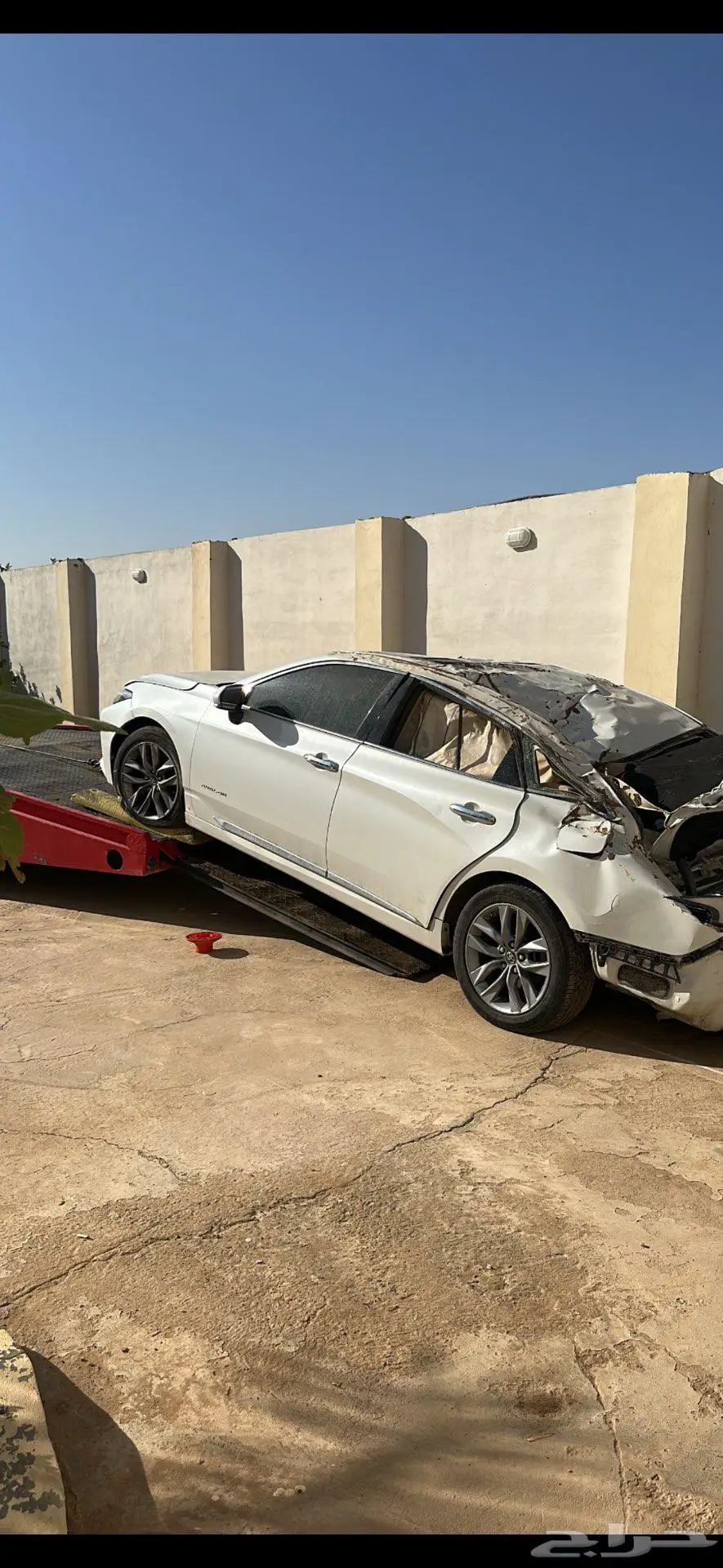 أفالون 2019 1