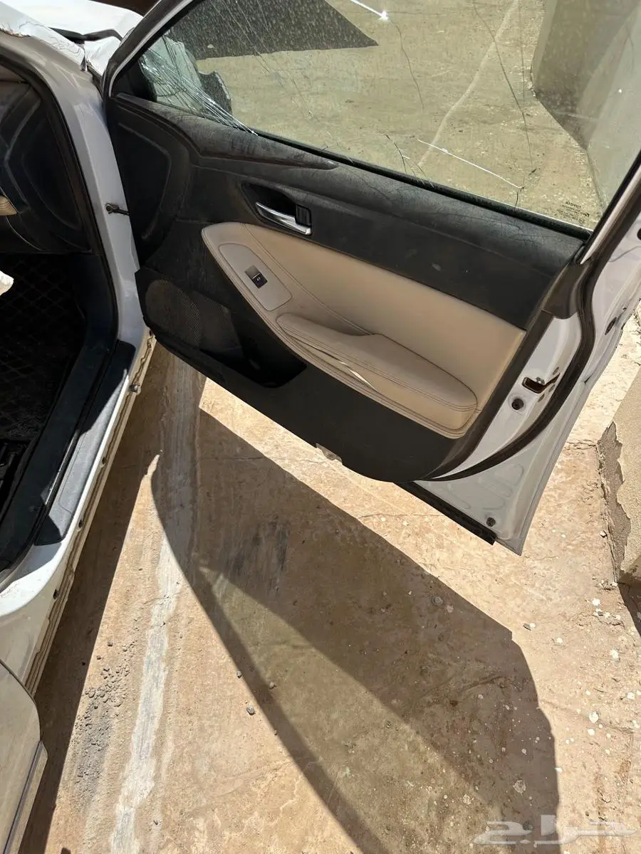 أفالون 2019 9
