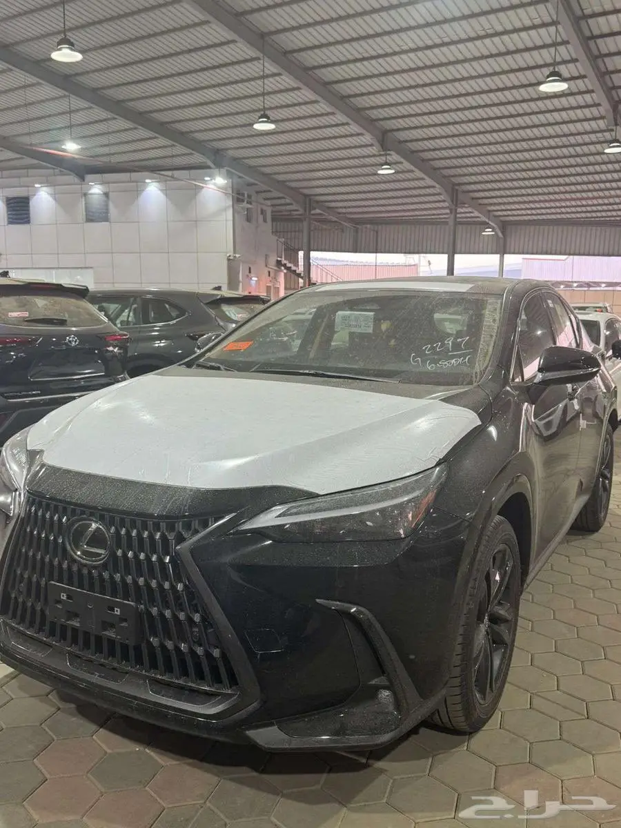 لكزس NX350AA موديل 2025 2