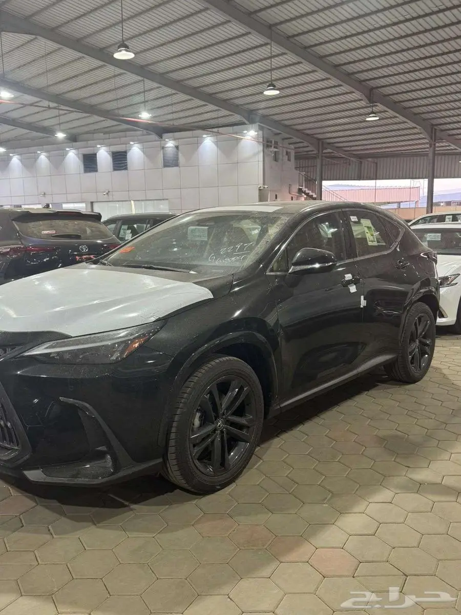 لكزس NX350AA موديل 2025 0