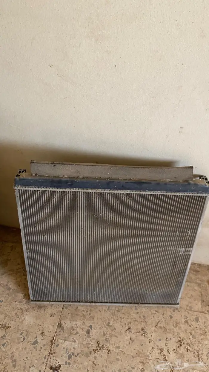 لديتر سكويا بدون طبه 1