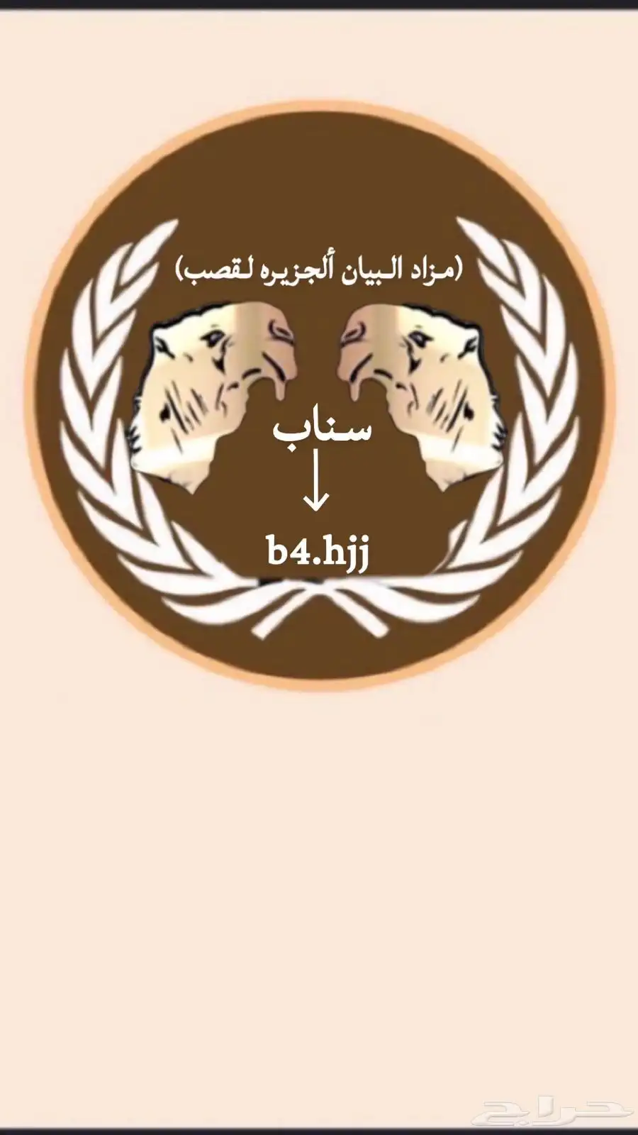 للمواشي مزاد البيان ألجزيره 0