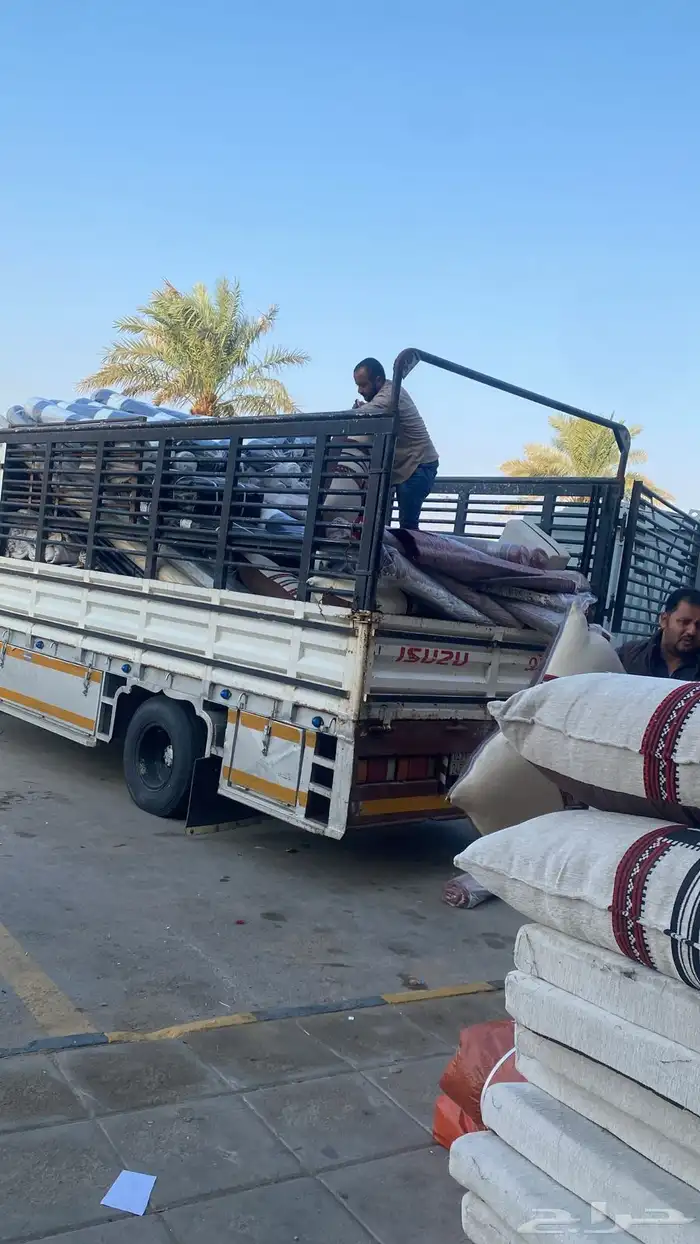 دينا نقل عفش 1