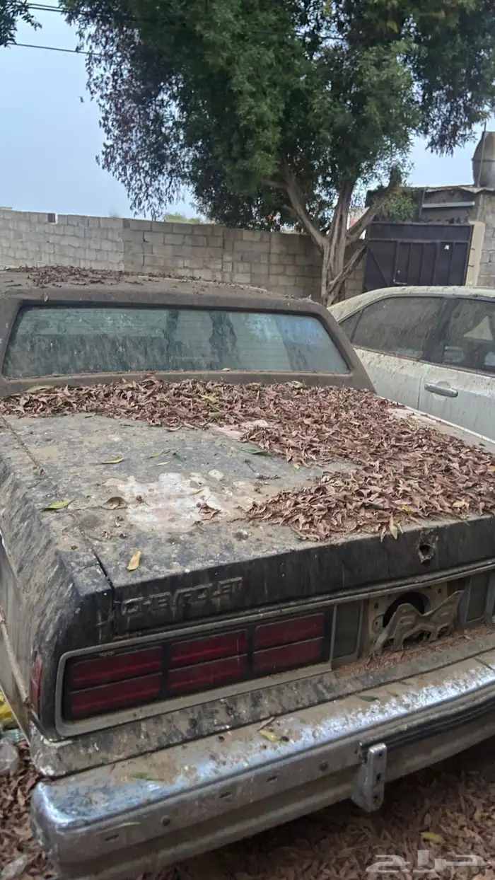 لوحة خصوصي 911 ع ح ح 3