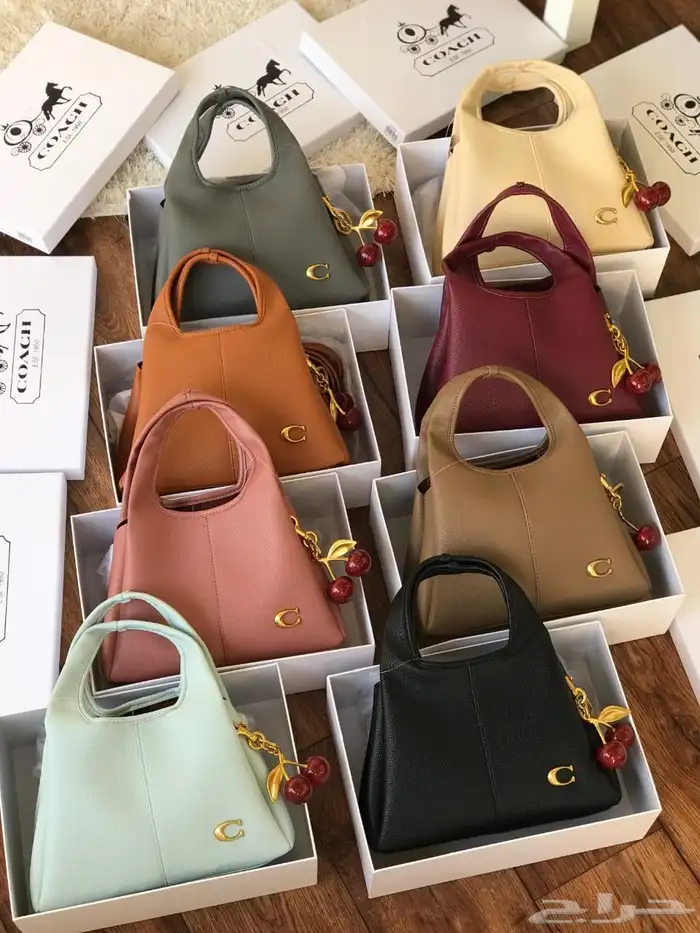 شنط تجنن ماركه درجه اولى عندي وحده منهم لها 6 خيال 17