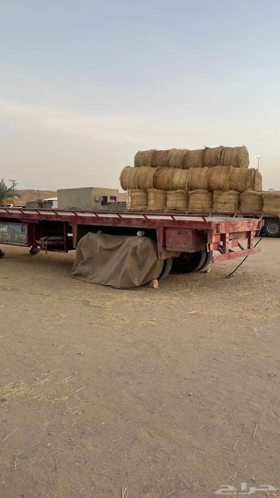 طوله 12 لعاب الاماني خابور كبير 4