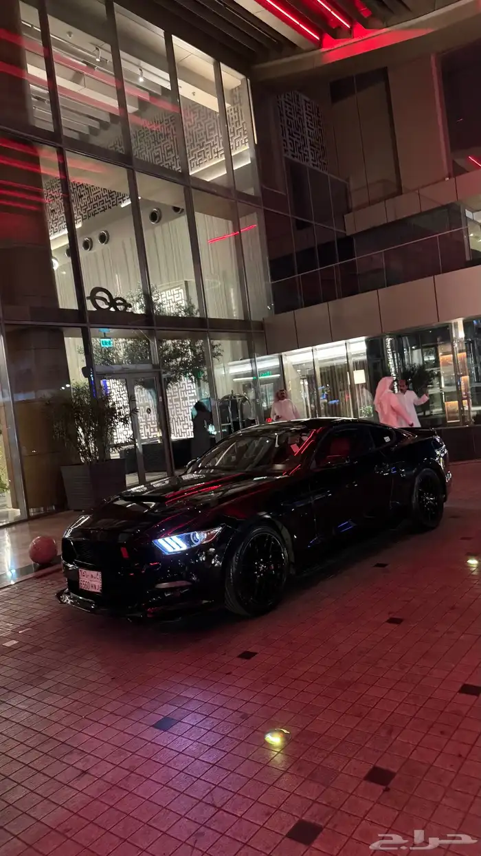موستنق 5.0 2015 1