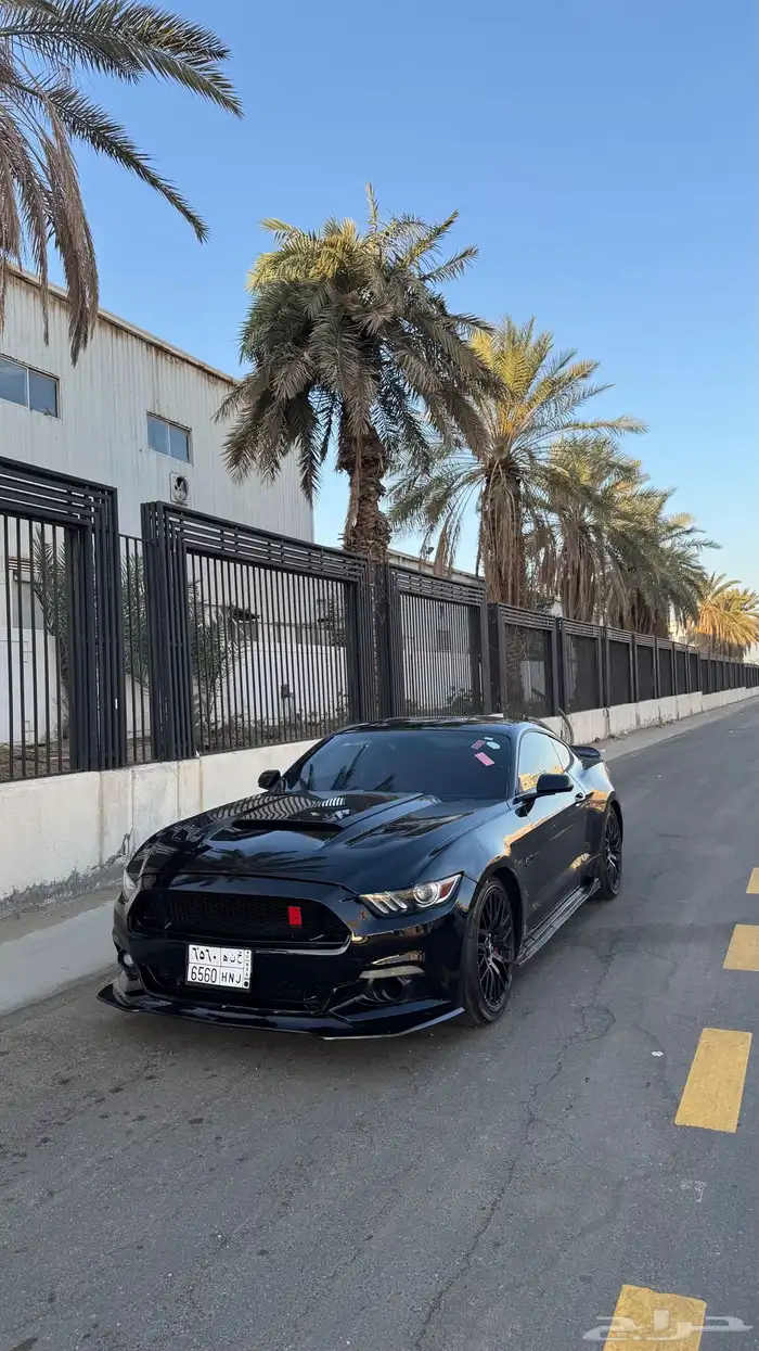 موستنق 5.0 2015 5
