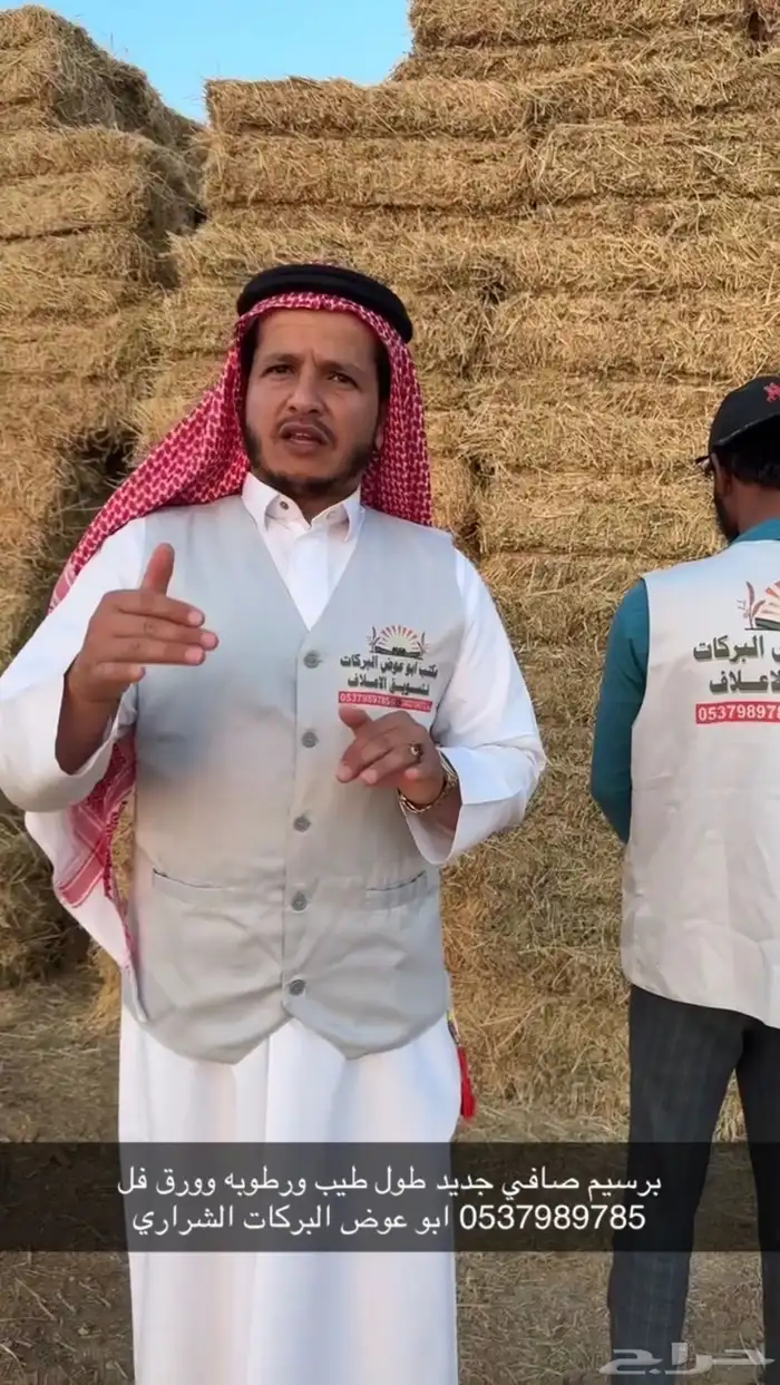 علف برسيم شط طيب الموقع الجوف طبرجل 2