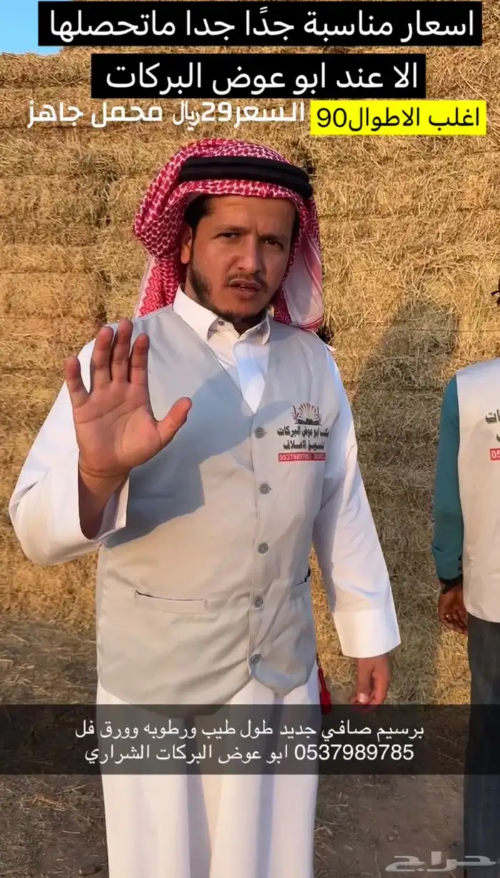 علف برسيم شط طيب الموقع الجوف طبرجل 3