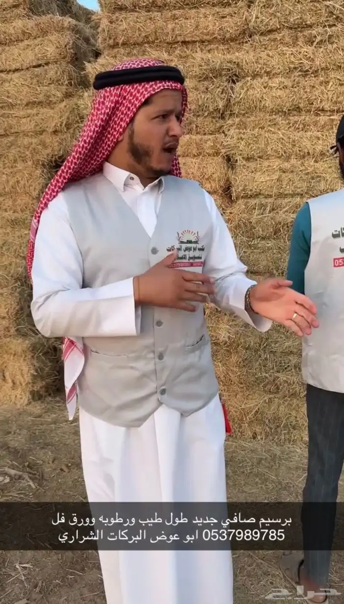 علف برسيم شط طيب الموقع الجوف طبرجل 1