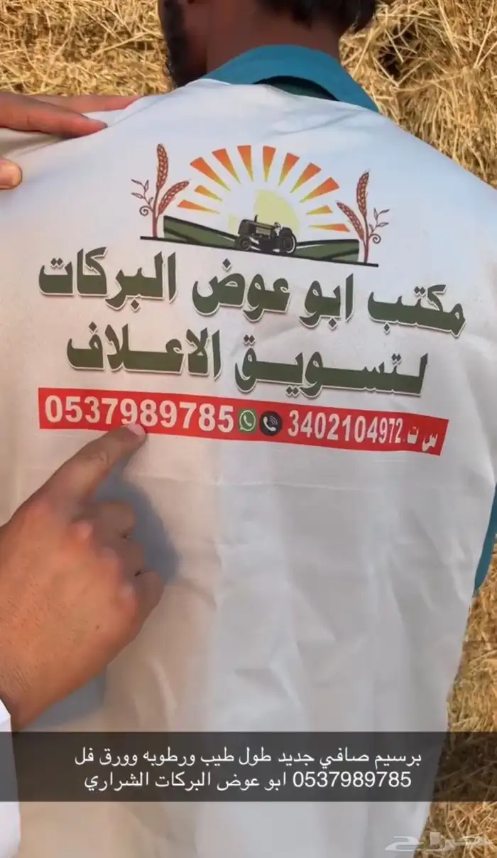 علف برسيم شط طيب الموقع الجوف طبرجل 0