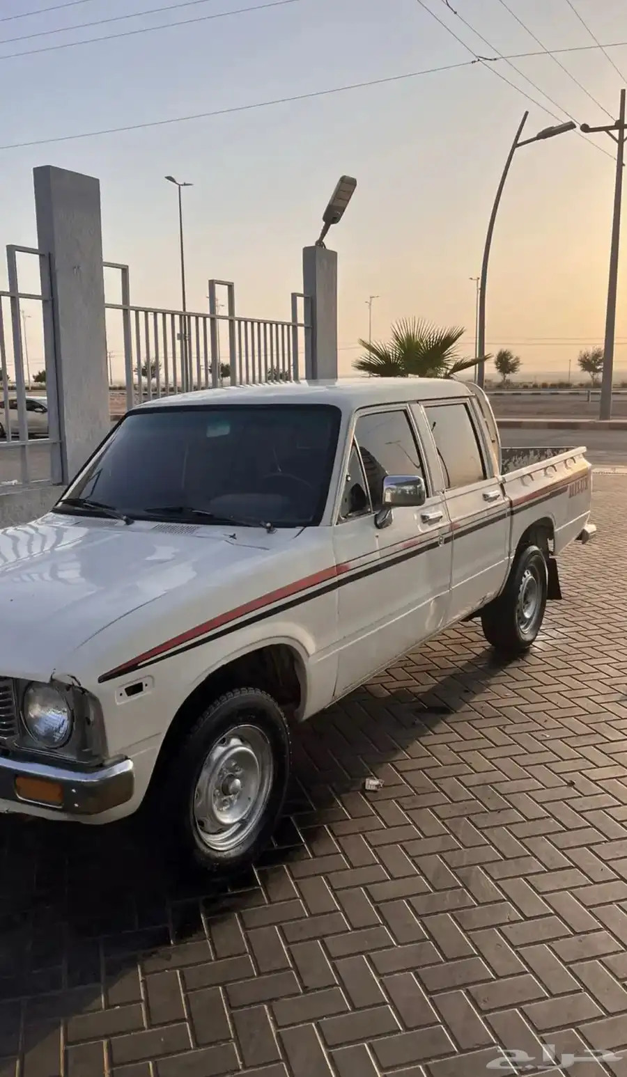 هالوكس 1981 2