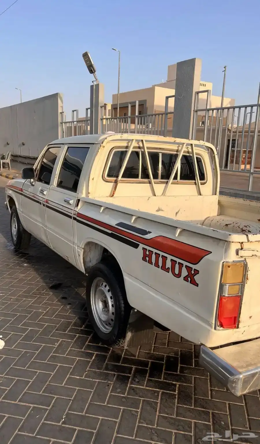 هالوكس 1981 0