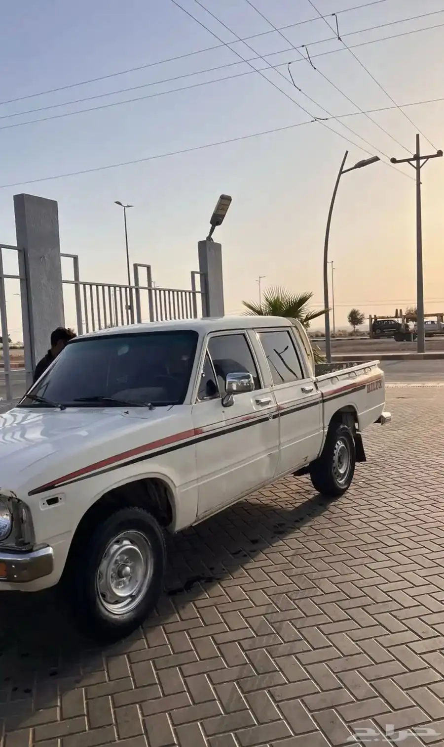 هالوكس 1981 5