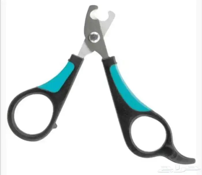 اغراض قطط 2