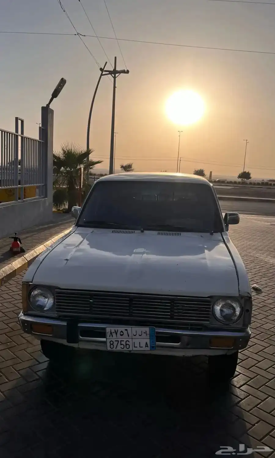 هالوكس 1981 3