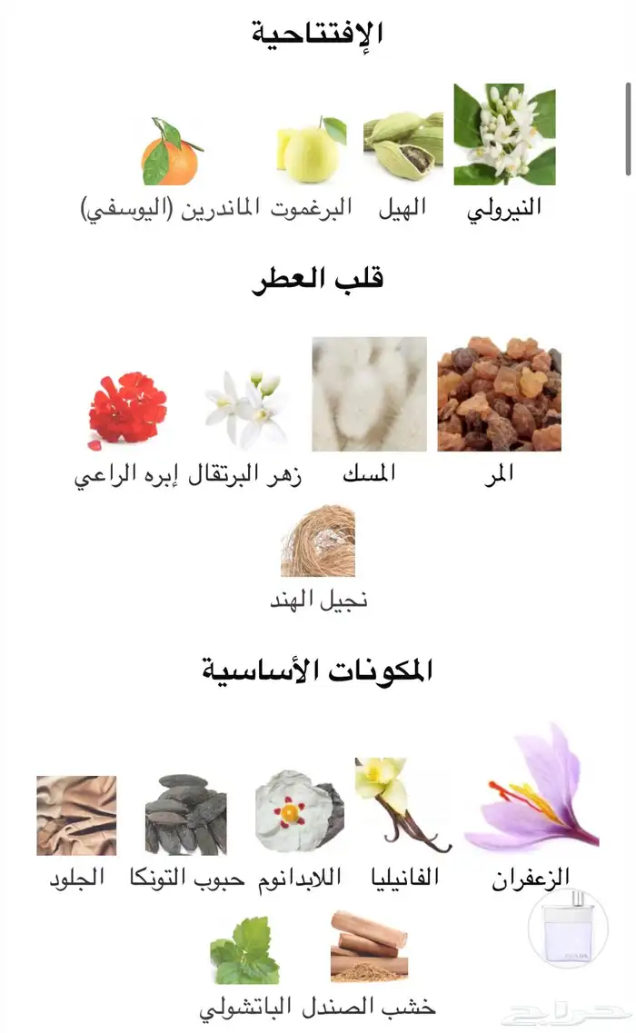 عطر برادا امبر بورم اوم 1