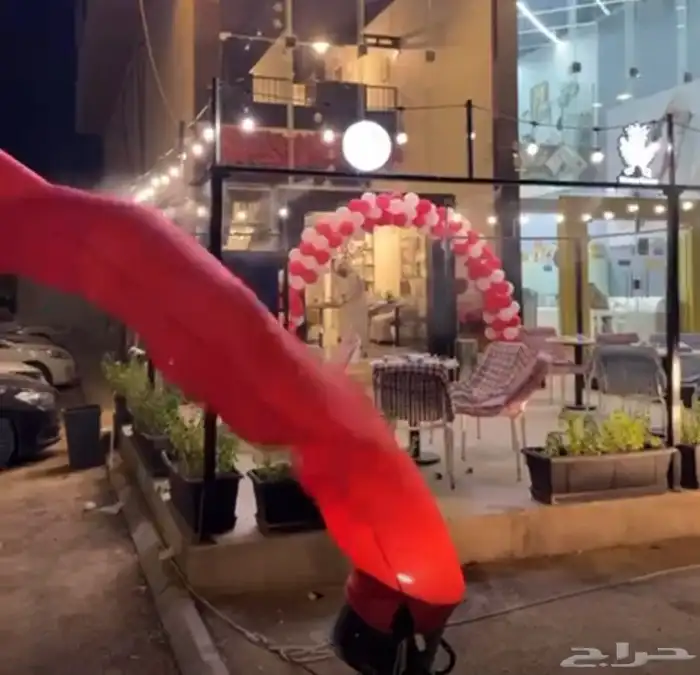 احواض شجر ورد وفيها نعناع وحبق وورد جاهزه للاستخدام 3