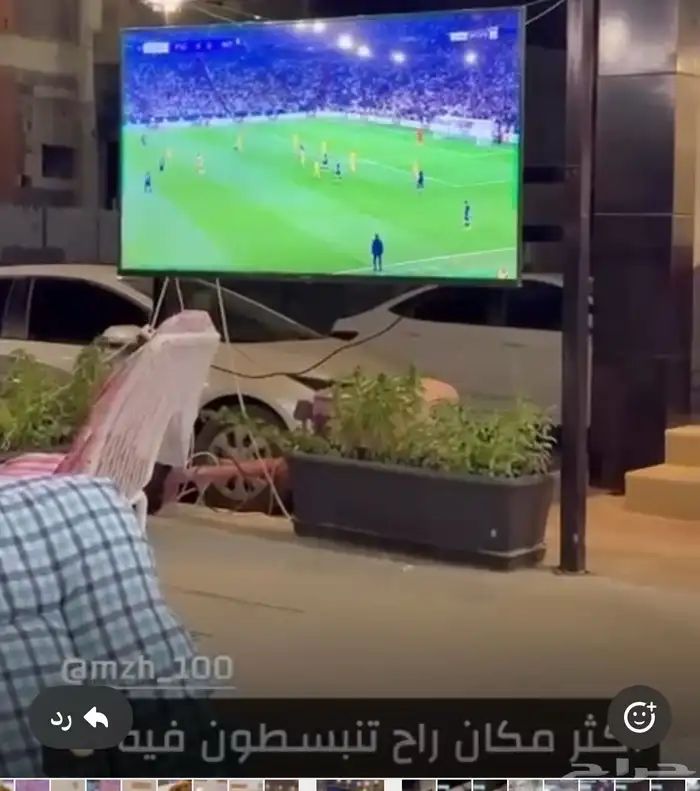 احواض شجر ورد وفيها نعناع وحبق وورد جاهزه للاستخدام 2