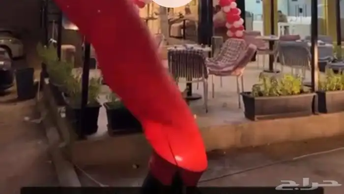 احواض شجر ورد وفيها نعناع وحبق وورد جاهزه للاستخدام 4