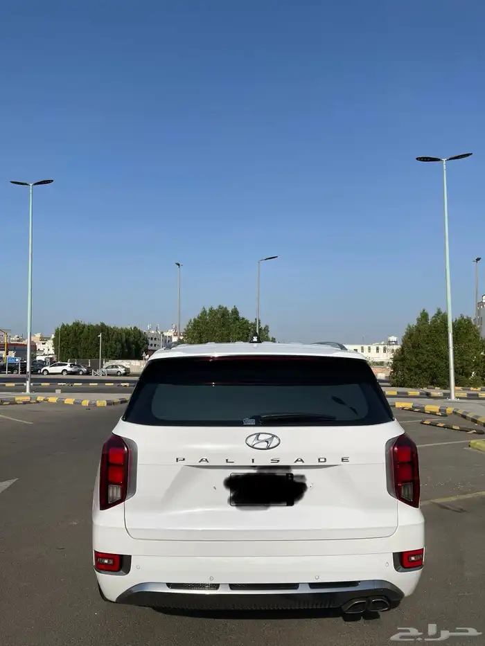 باليسيد 2022 8