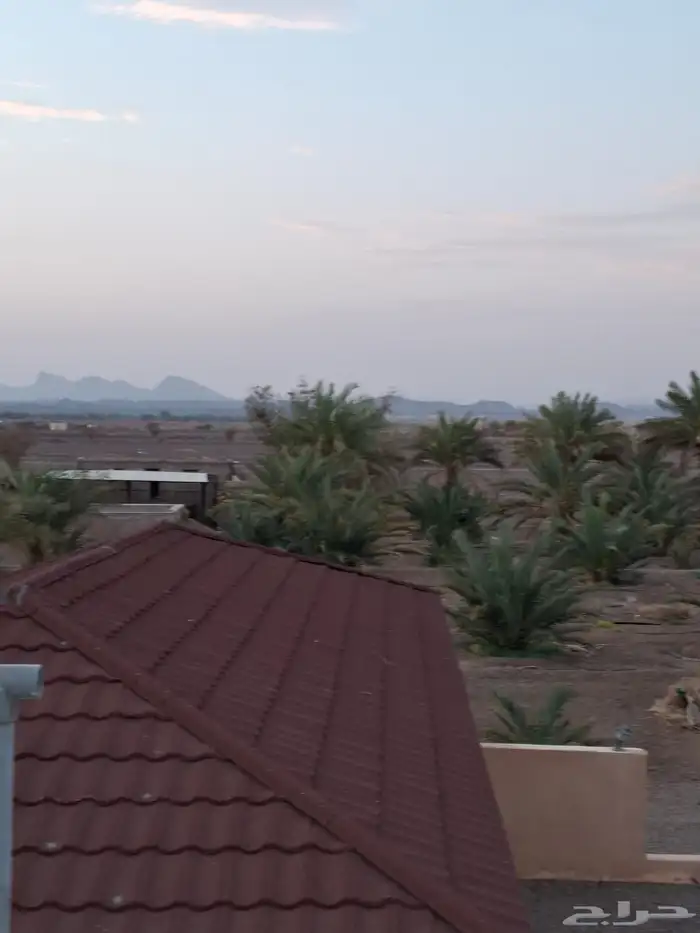 مزرعة للبيع 6