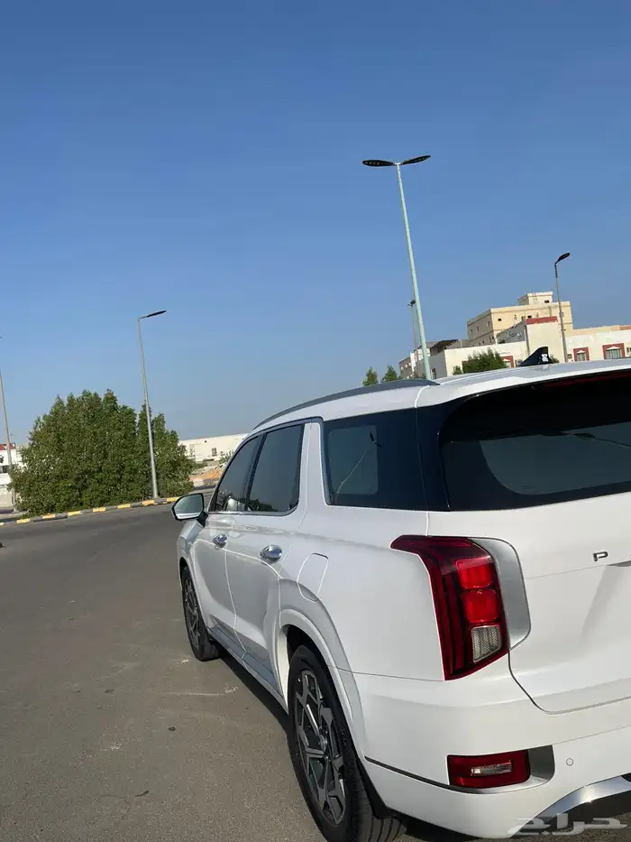 باليسيد 2022 10