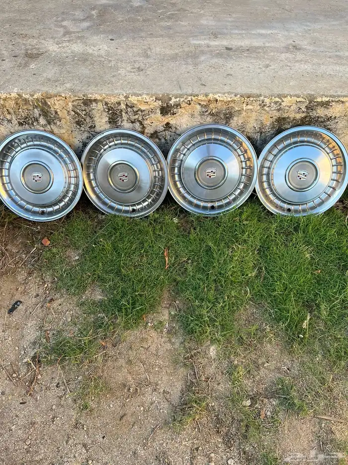 طيس كدلك وبنتلي وجنوط للبيع 2