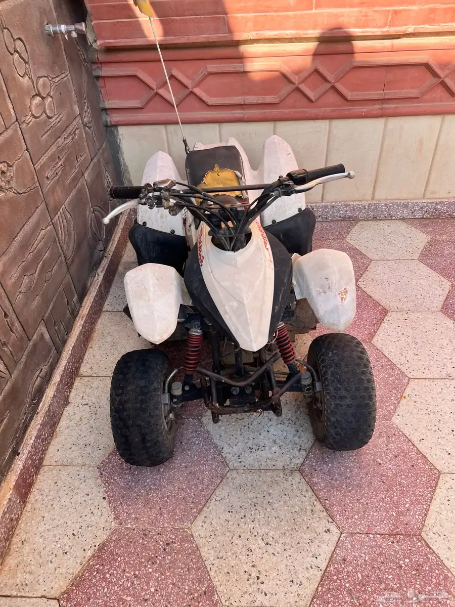 دباب مقاس 50 6