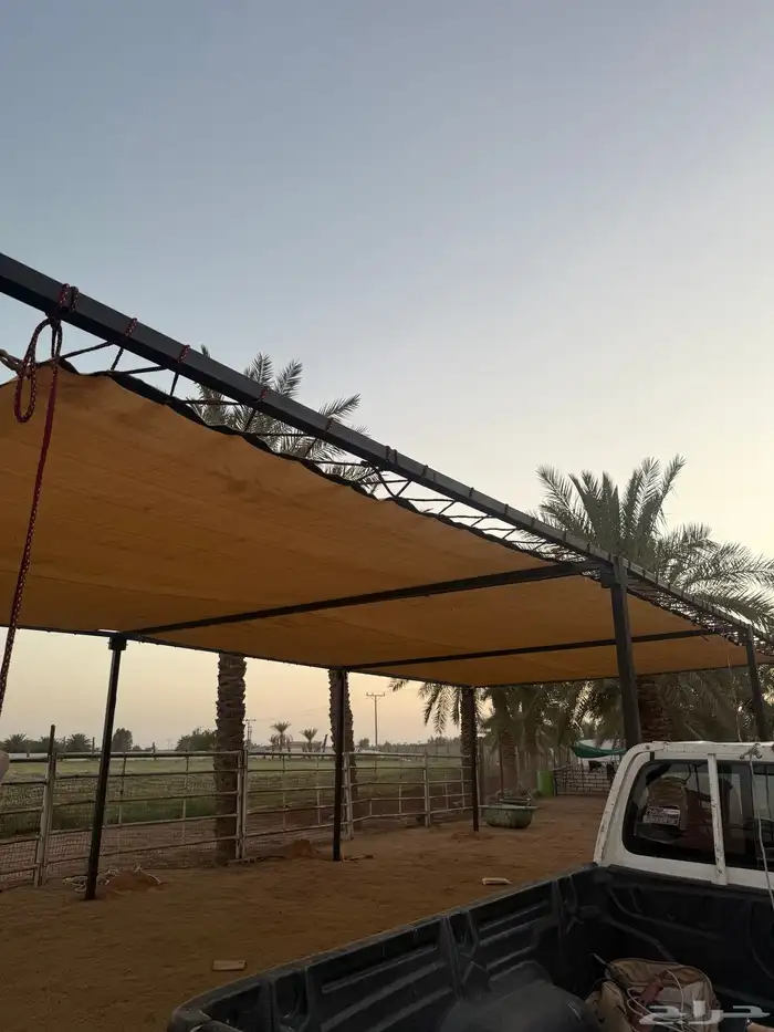مضلات الابل  المميزة 1