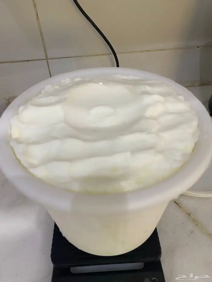 زيدة معزاء شرط 0