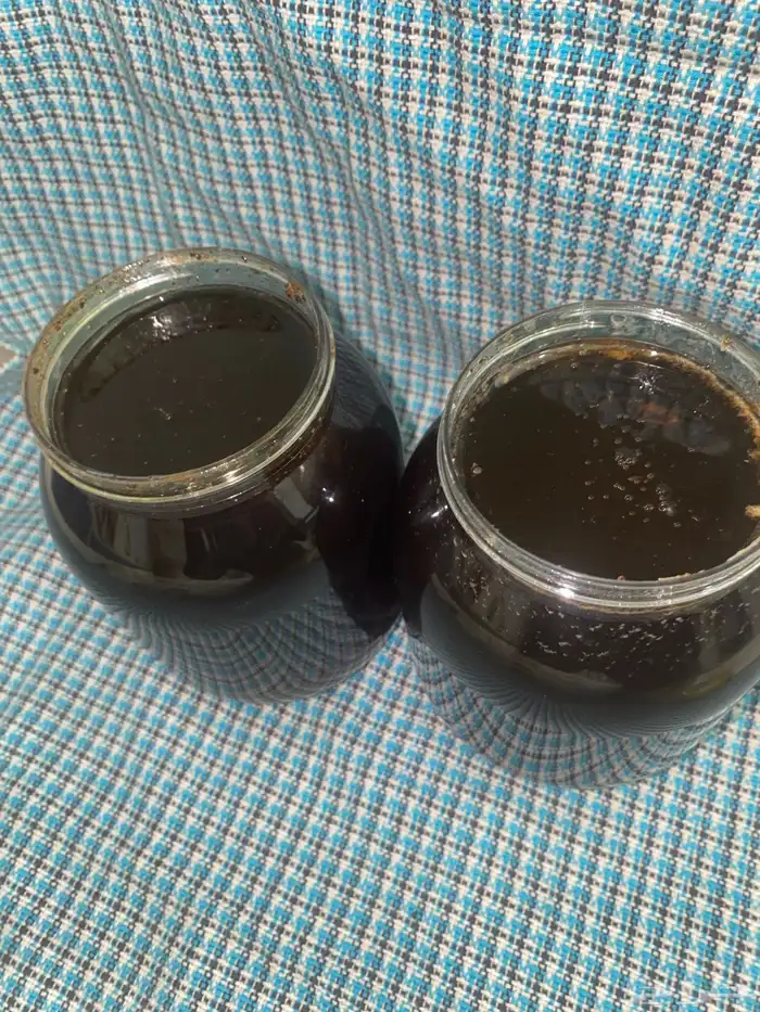 عسل جبلي اصلي 0