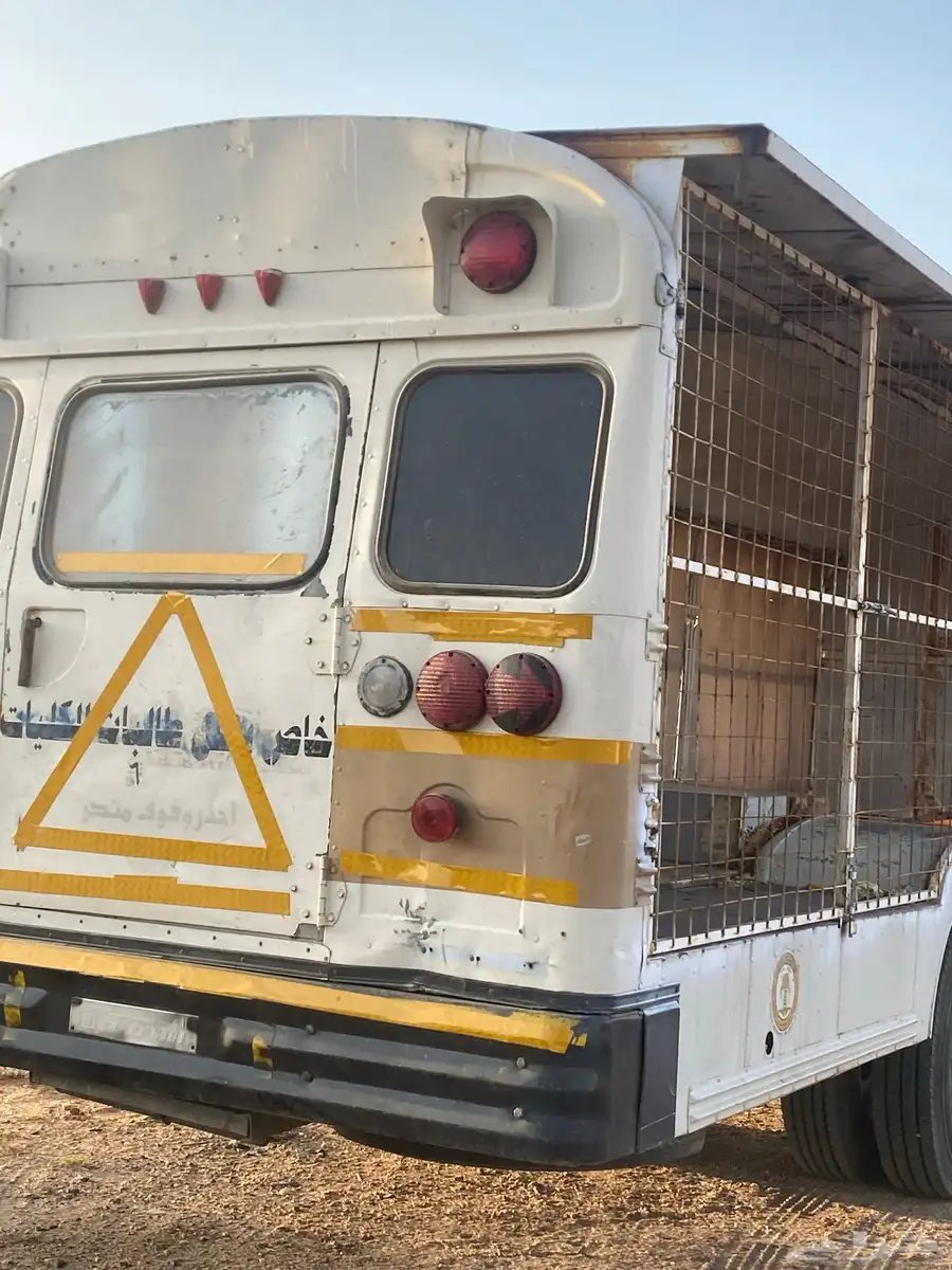 باص نحل فاضي للبيع 3