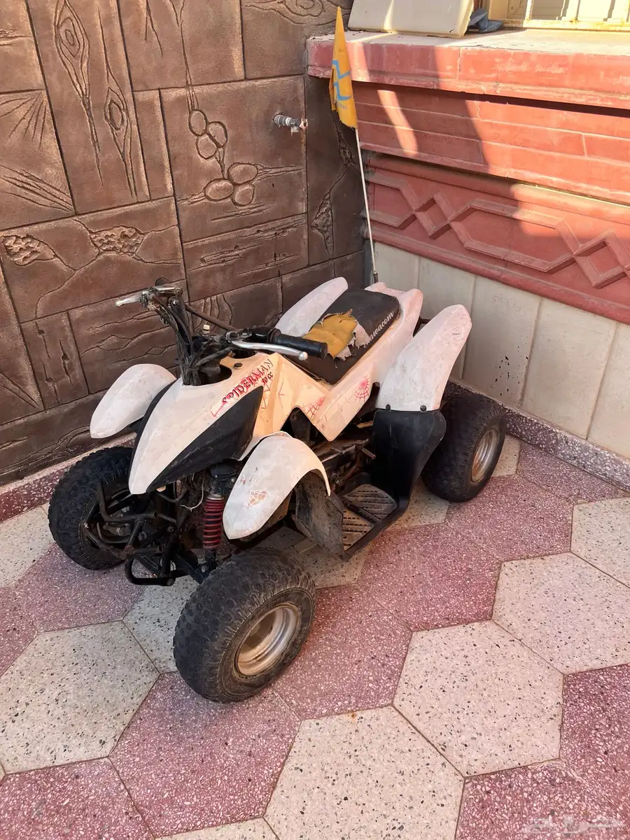 دباب مقاس 50 5
