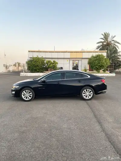 شفروليه ماليبو 2019 بنزين التوكيلات العالميه 1