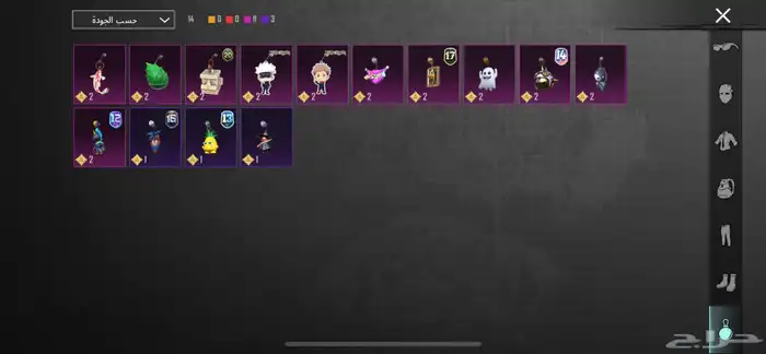 ببجي العالميه 13