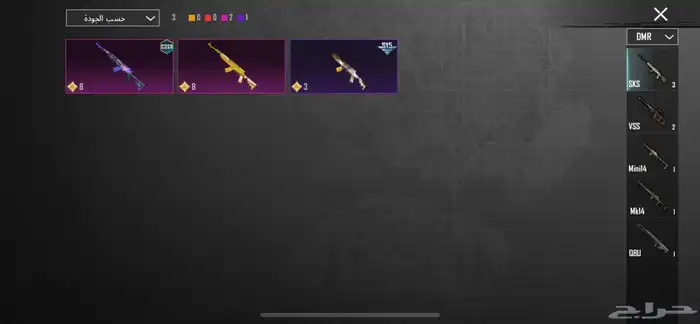 ببجي العالميه 26