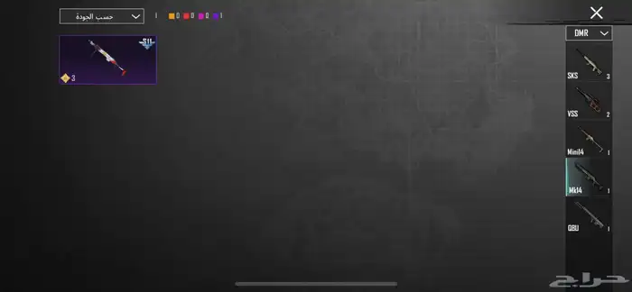 ببجي العالميه 27