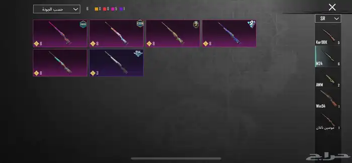 ببجي العالميه 29