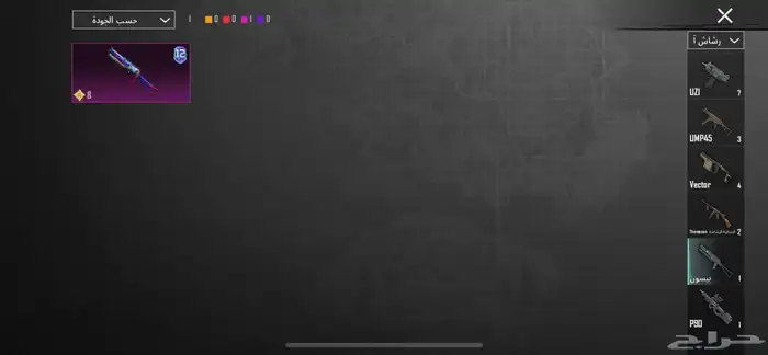 ببجي العالميه 22