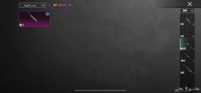 ببجي العالميه 24