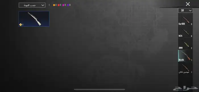 ببجي العالميه 31