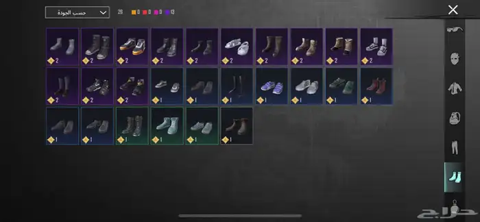 ببجي العالميه 12