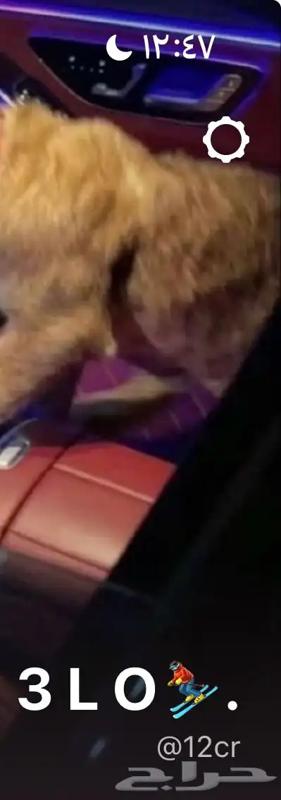 يوزر جاكو للبيع 0