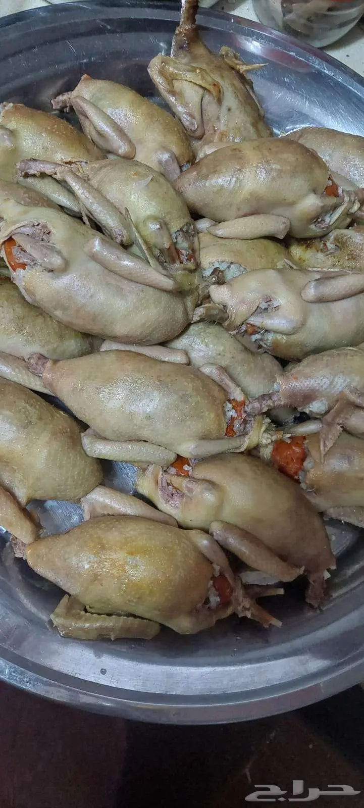 حمام فرنسي جامبو 6