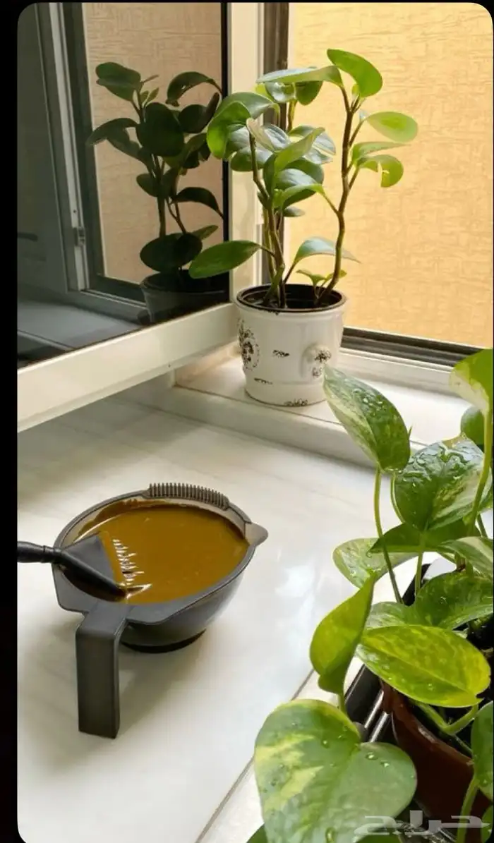 حناء 1