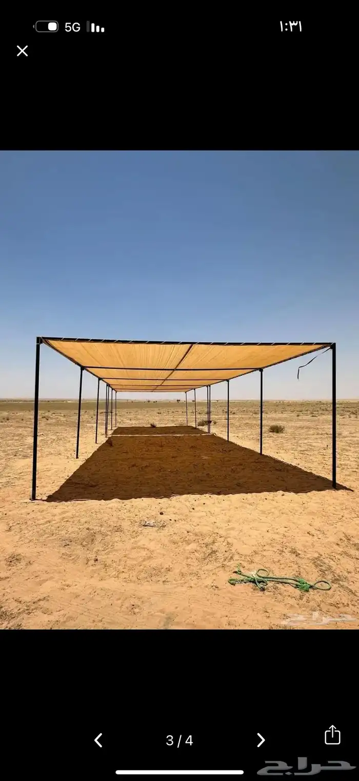 مضلات الابل  المميزة 7