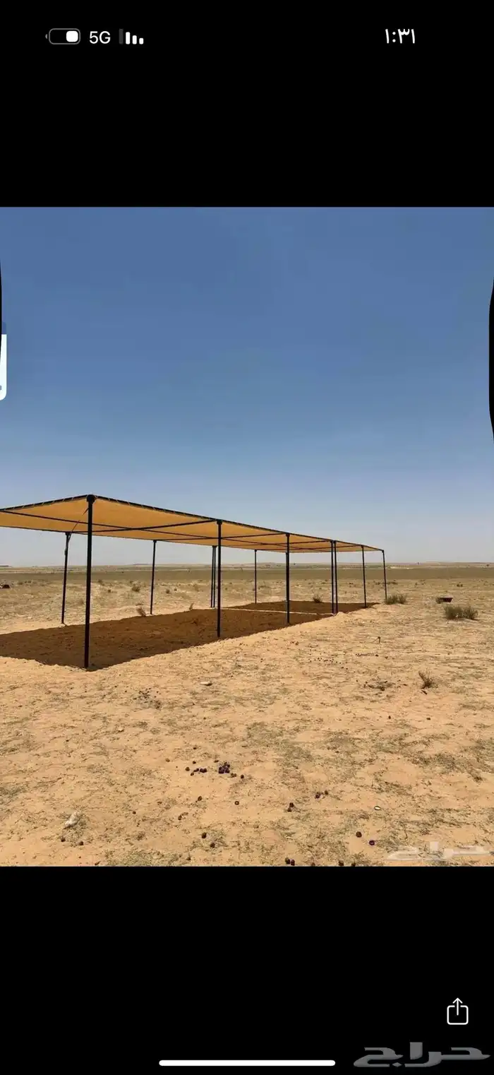 مضلات الابل  المميزة 9