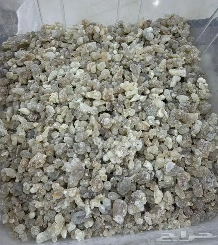لبان الذكر العلاجي 3